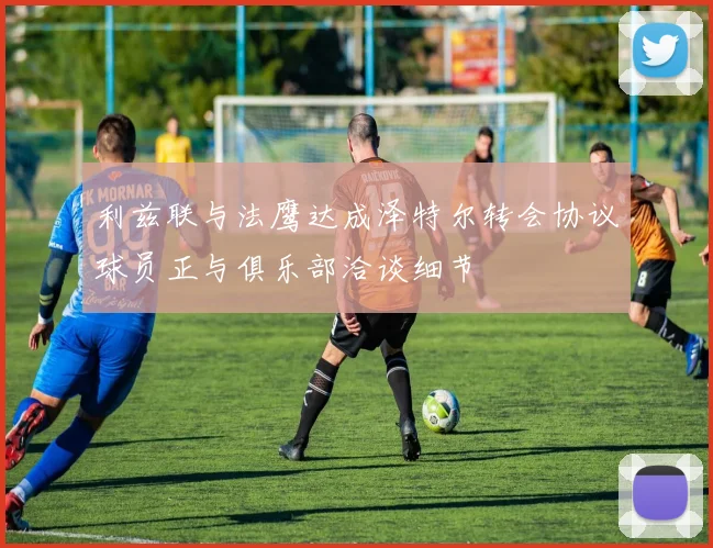 利兹联与法鹰达成泽特尔转会协议球员正与俱乐部洽谈细节
